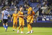 Wolves and West Brom issue fresh derby disorder warning for Molineux clash
