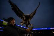 Peta urges Crystal Palace to retire live bald eagle matchday mascot Phoenix