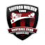 Saffron Walden Town